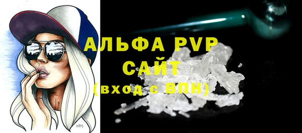 индика Новодвинск