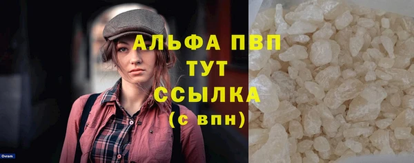 индика Новодвинск
