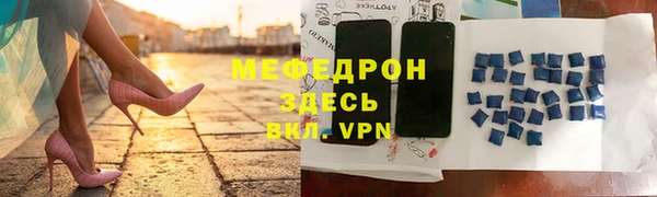 индика Новодвинск