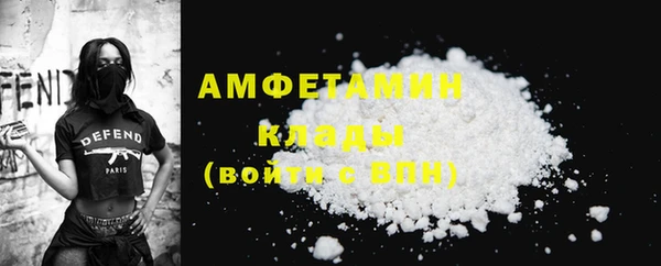 индика Новодвинск