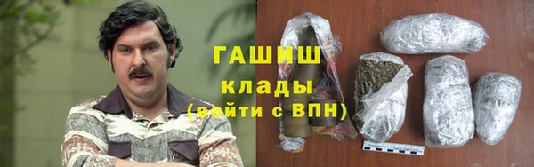 индика Новодвинск