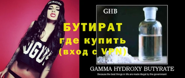 индика Новодвинск