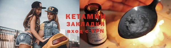 индика Новодвинск
