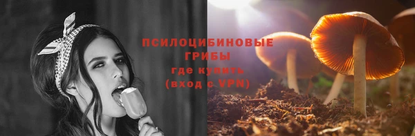 винт Новокубанск