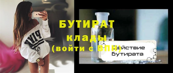 индика Новодвинск