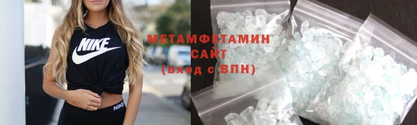 индика Новодвинск