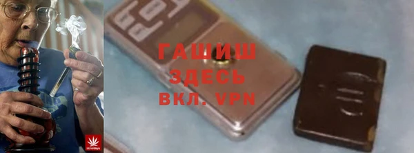 индика Новодвинск