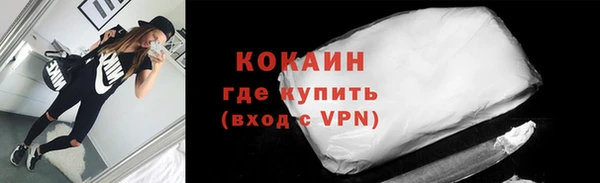 индика Новодвинск