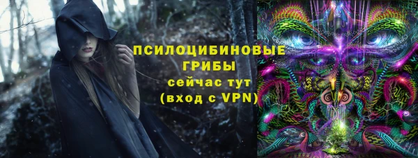 индика Новодвинск