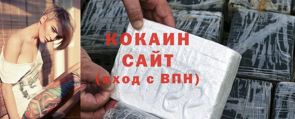 индика Новодвинск