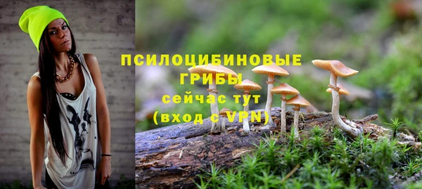 прущая мука Новозыбков