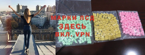 индика Новодвинск