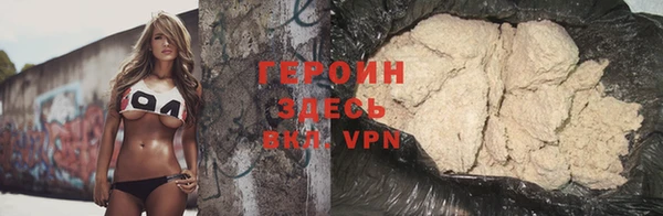 индика Новодвинск