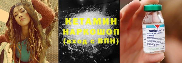 индика Новодвинск